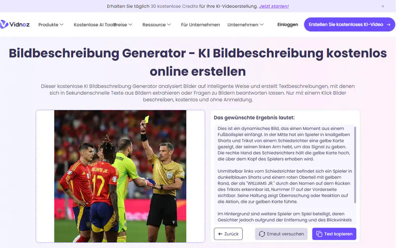 KI Bild beschreiben mit Vidnoz