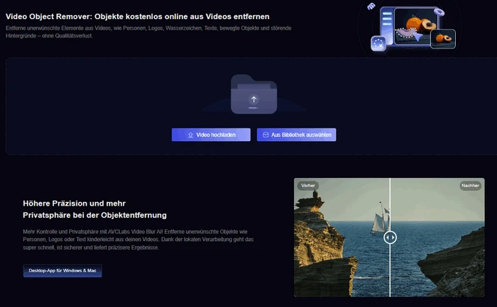 Video Object Remover